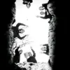 bordan46