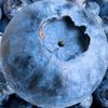 bubbletamm