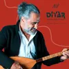 diyardersim100
