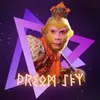 dreamskylevrai