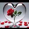 sudias_jutt_7085