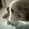 jjnknini