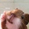khndysyfh