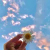 ahmadsmother191