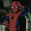 amezingspider