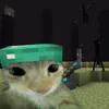 gubidil69