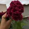 ebaalmeida4