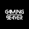g4m1ngbe4ver