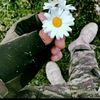 herbcici_052