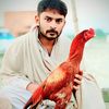 saithjahanzaib72
