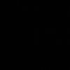 xil29r