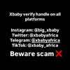 Big Xbaby