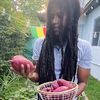 zionhousetv
