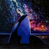 galaxyorca