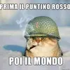 i Gatti Conquisteranno ilMondo