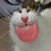 piss.enjoyer