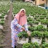 .indriastutik