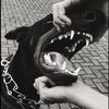 user30910608