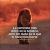 valentinluisangulocorde0