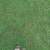 beautyongg