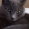 _nuriko_1101