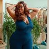 thefabricfanatic
