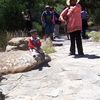 aarrani2