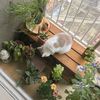 fluvvy_cloudbreadd