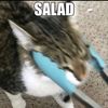 honey.comez