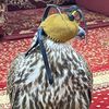 khaledalghayat