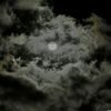 abdallahhazem84