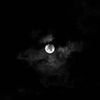 nora_3o7