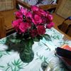 user088881302
