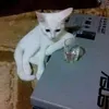 thequyenn97