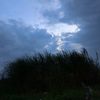 fromsrisuhart6