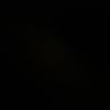 jon.lks