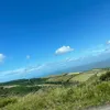 antonianaylor436