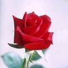 abeerbader2