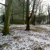 parkgondozo