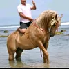 lahssan_67