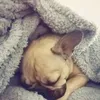 magymagy11