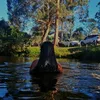 pv_manuh11