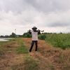 rungrapee2534