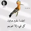 hassandiden