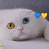 oniks93