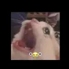 msksmkslmdnmslandmdk