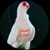 abuwadi35