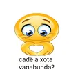 maceta_velhas