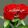 user2869364777078
