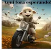 carlos8pereira